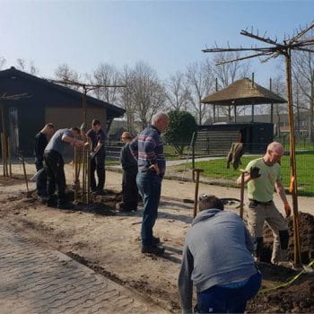 De nieuwe entree wordt steeds mooier